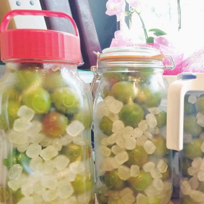 梅シロップワークショップ